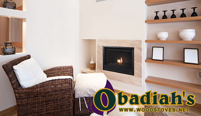 Aries CD / DRC2000 Direct Vent Gas Fireplace