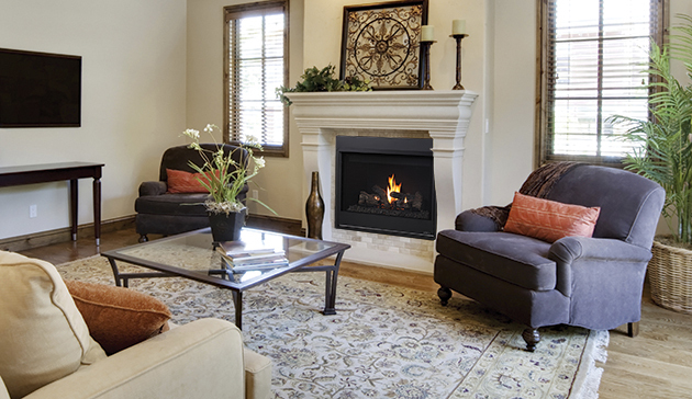 Astria Aries / Superior DRT2000 Direct Vent Gas Fireplace