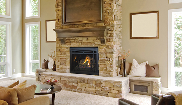 Astria Envy Astria Gas Fireplace — Manual
