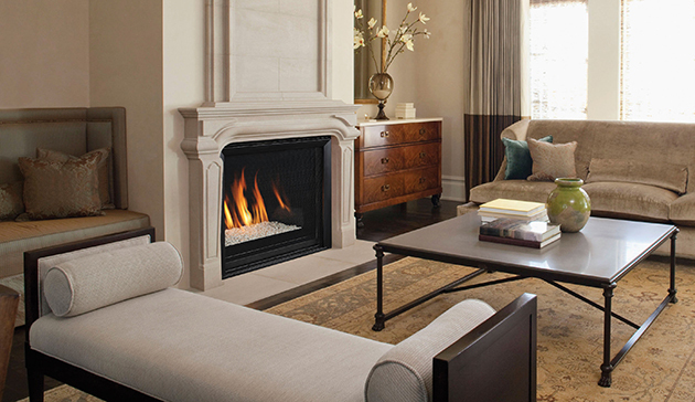 Envy CD Astria Gas Fireplace