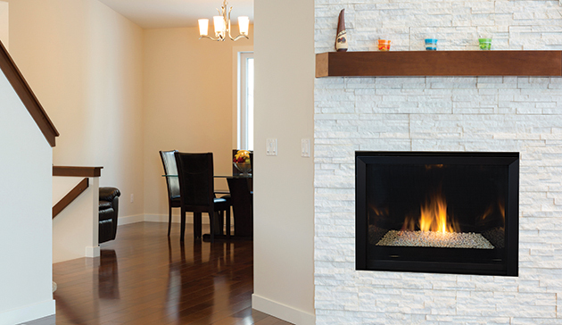 Envy CD Astria Gas Fireplace