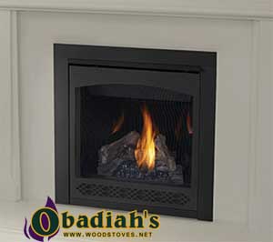 Napoleon Ascent 30 DV Gas Fireplace — Specifications