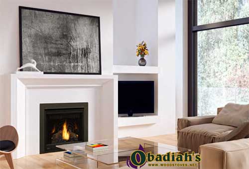 Napoleon Ascent 30 DV Gas Fireplace — Specifications