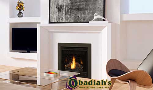 Napoleon Ascent 30 DV Gas Fireplace — Specifications