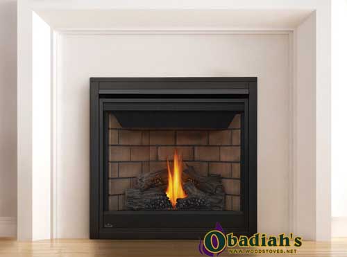 Napoleon Ascent 35 DV Gas Fireplace - Discontinued — Owner's Manual