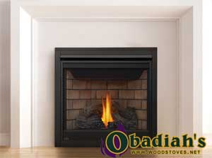 Napoleon Ascent 35 DV Gas Fireplace - Discontinued — Owner's Manual