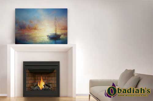 Napoleon Ascent 35 DV Gas Fireplace - Discontinued — Owner's Manual