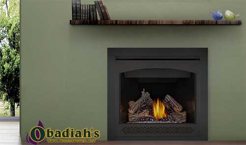 Napoleon Ascent 36 DV Gas Fireplace - Discontinued — Specifications