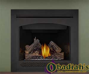 Napoleon Ascent 36 DV Gas Fireplace - Discontinued — Specifications