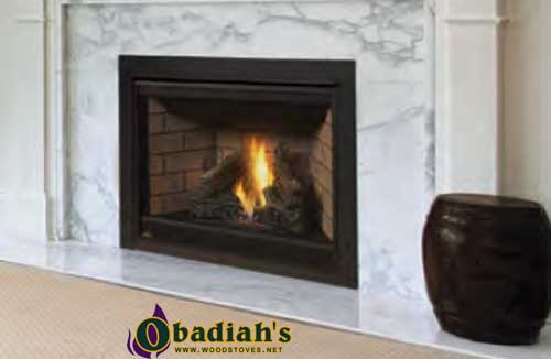 Napoleon Ascent 42 DV Gas Fireplace - Discontinued — Owner's Manual