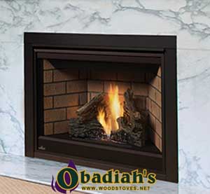 Napoleon Ascent 42 DV Gas Fireplace - Discontinued — Owner's Manual