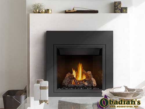 Napoleon High Definition Gas Fireplace - Discontinued — Owner's Manual