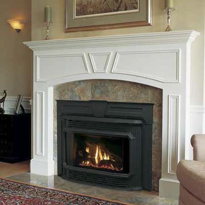 IronStrike Ravenna / Superior DRT3030TEN Direct Vent Gas Fireplace Insert
