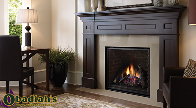 Regency Liberty L965E Large Direct Vent Gas Fireplace — Brochure