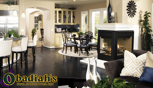 Astria Libra / Superior DRT4000 Direct Vent Gas Fireplace