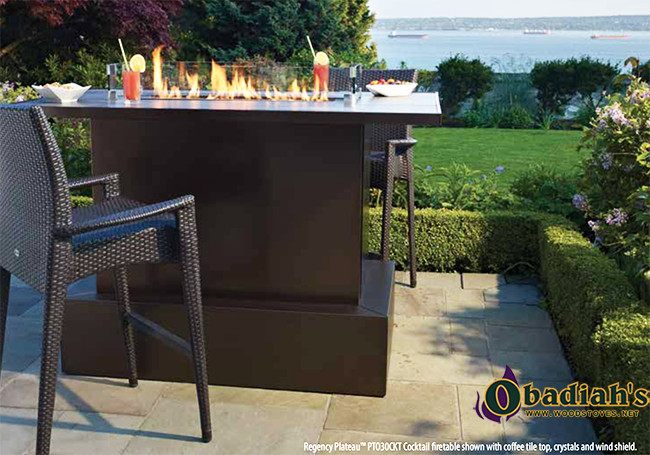 Regency PTO Outdoor Gas Fireplace Burner
