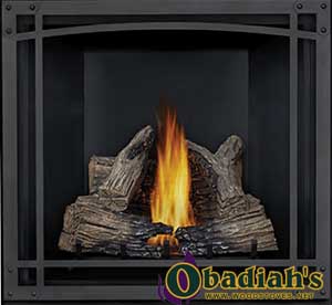 Napoleon STARfire 35 DV Gas Fireplace - Discontinued — Owner's Manual