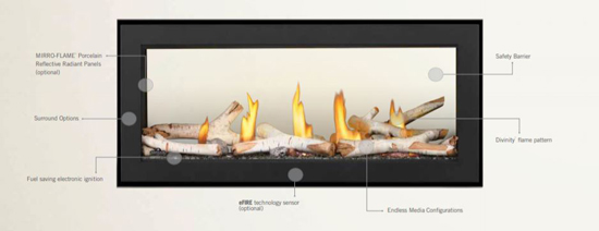 Napoleon L38 Acies Single Sided Linear Direct Vent Gas Fireplace - Discontinued — Installation Manual