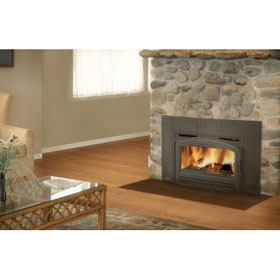 Napoleon EPI3 Cast Iron Wood Burning Insert