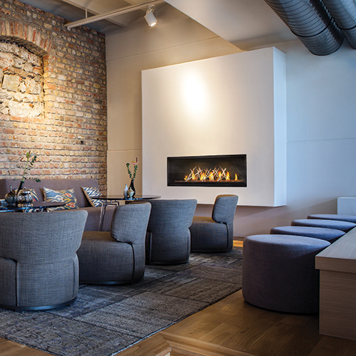 Napoleon Luxuria Series 50 Direct Vent Gas Fireplace — Specifications