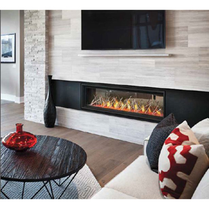 Napoleon Luxuria Series 62 Direct Vent Gas Fireplace — Specifications
