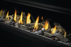 Napoleon Vector Series LV74 Direct Vent Gas Fireplace