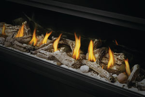 Napoleon Vector Series LV74 Direct Vent Gas Fireplace