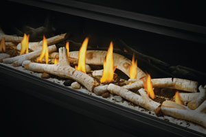 Napoleon Vector Series LV74 Direct Vent Gas Fireplace