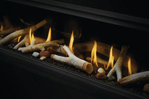 Napoleon Vector Series LV74 Direct Vent Gas Fireplace