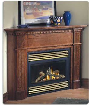 BGD34 Napoleon Gas Fireplace