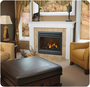 BGD36NTR Napoleon Gas Fireplace