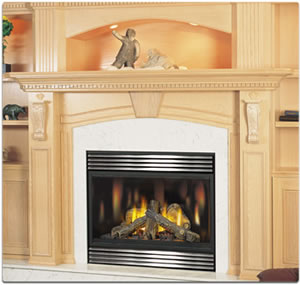 BGD42 Napoleon Direct Vent Gas Fireplace