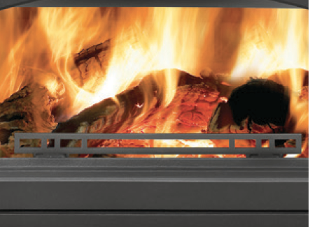 Napoleon EPI3 Cast Iron Wood Burning Insert