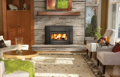 Napoleon EPI3 Cast Iron Wood Burning Insert