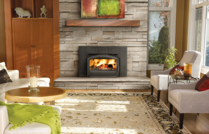 Napoleon EPI3 Cast Iron Wood Burning Insert