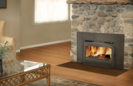 Napoleon EPI3 Cast Iron Wood Burning Insert