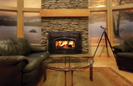 Napoleon EPI3 Cast Iron Wood Burning Insert