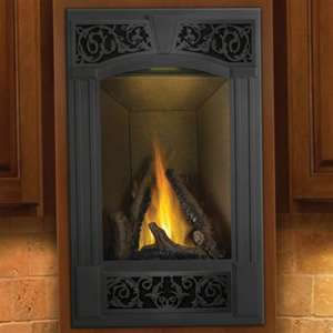 GD19 Napoleon Vittoria� Direct Vent Gas Fireplace