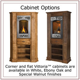 GD19 Napoleon Vittoria� Direct Vent Gas Fireplace