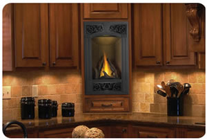 GD19 Napoleon Vittoria� Direct Vent Gas Fireplace