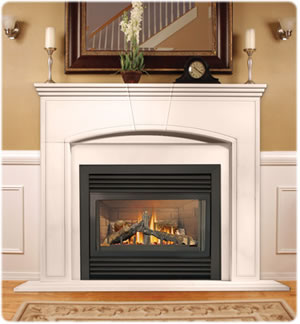 GD33NR Napoleon Gas Fireplace