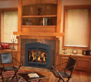 GD70 STARfire� Napoleon Gas Fireplace