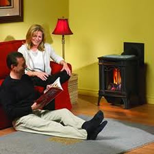 Napoleon GDS20 Arlington Gas Stove — Manual