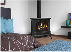 Napoleon GDS60 Napoleon Cast Iron Gas Stove — Owner's Manual