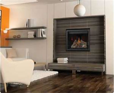 HD35 Clean Face Napoleon Direct Vent Gas Fireplace