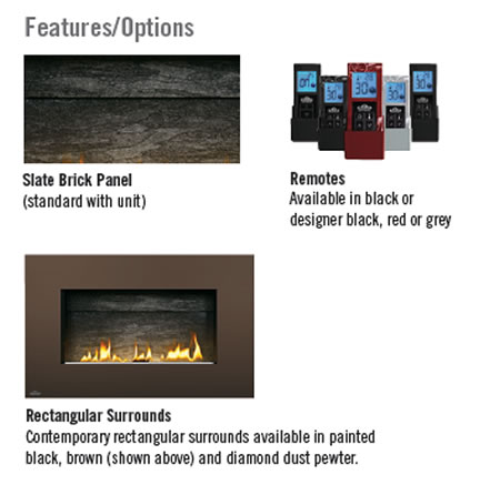 WHD31 Plazmafire� Napoleon Direct Vent Gas Fireplace